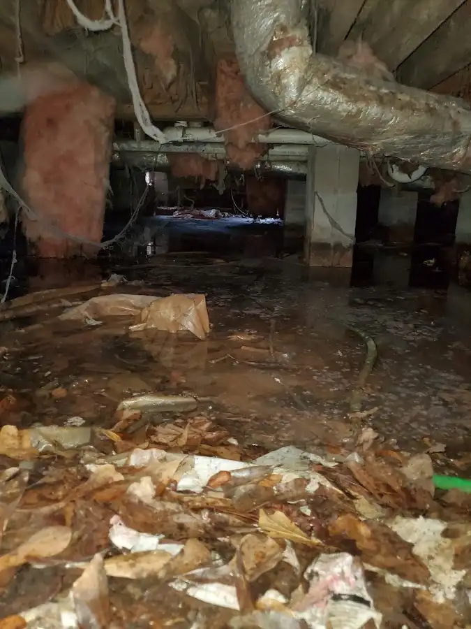Crawl space flood assessment for Leak Detection & Repair in Arden-Arcade