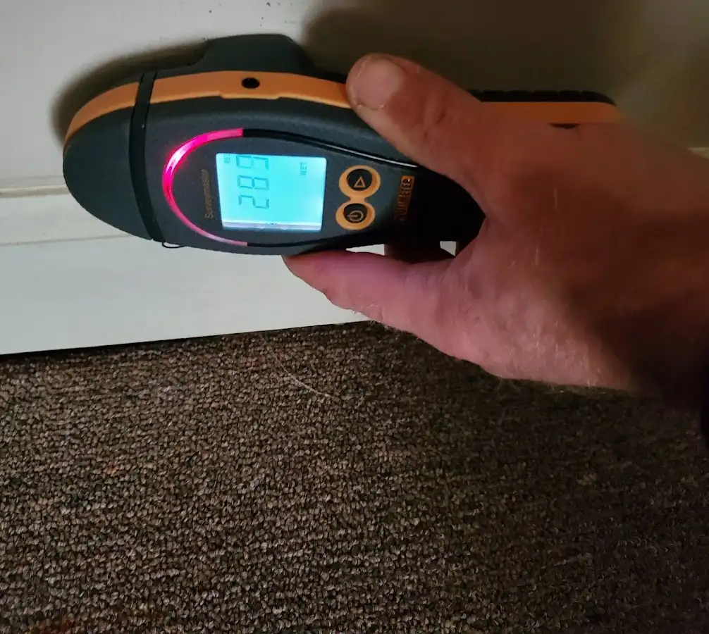 Moisture detection at baseboard during Sewage Cleanup & Sanitation in Arden-Arcade